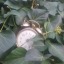 blackdreamer4