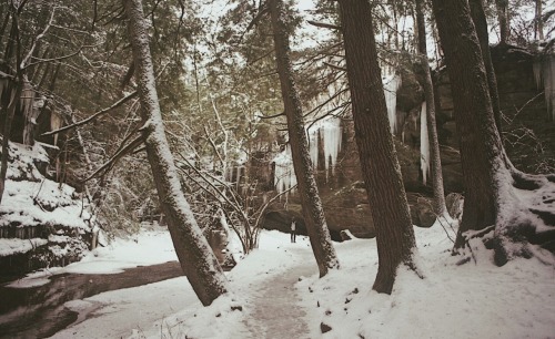 untidysouls: Our love was born that winter. 35mm Film.