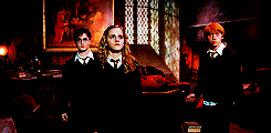 daenerys-targaryen-archive:  get to know me meme: 1/10 movies ♦ the harry potter