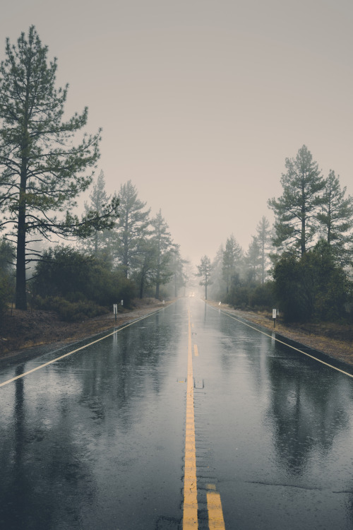 lvndscpe: Let’s hit the road | by Vanja Terzic