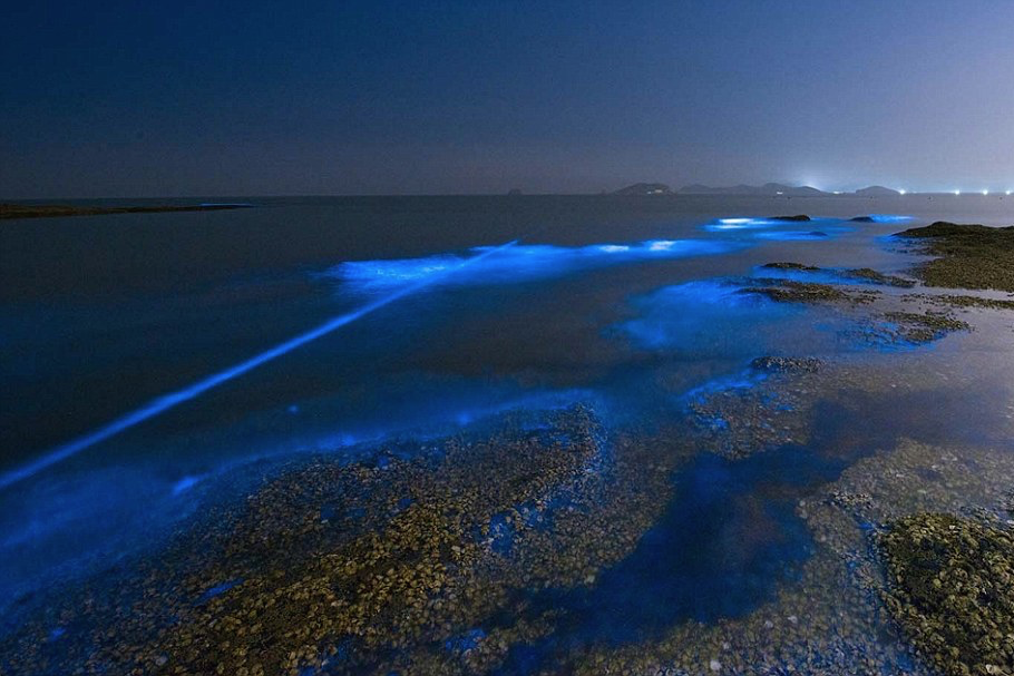 nubbsgalore:  though beautiful, these fluorescent blue patches of water are an indicator