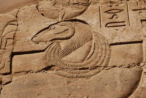 grandegyptianmuseum: Image of the solar god Amun-Re in the form of a ram, detail of a wall relief fr