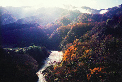 amarefeles.tumblr.com/post/48992926685/