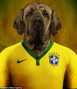 afootballobserver:  Hello international week.  Word Cup Brazil 2014 teams combined with their national dog - Daily Mail Online