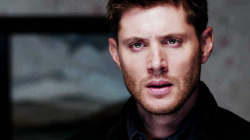 Dean Winchester Daily