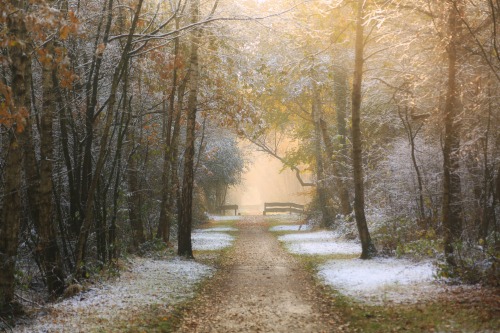 Frosty Fall on the Church Paths, De Lutte (The Netherlands)