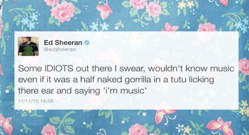 old-ed-sheerin:  if you’re not following ed sheeran you’re seriously missing out 