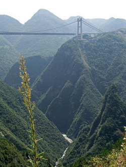 atlasobscura:SIDU RIVER BRIDGE -SIDU RIVER, CHINAThis highest bridge in the world spans such a great chasm that it had to be established using rocketsAtlas Obscura brings you the only bridge in the world high enough for a person to reach terminal velocity
