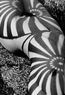 onlyoldphotography:  Herb Ritts: Neith with Shadows, Front View, Pound Ridge, 1985