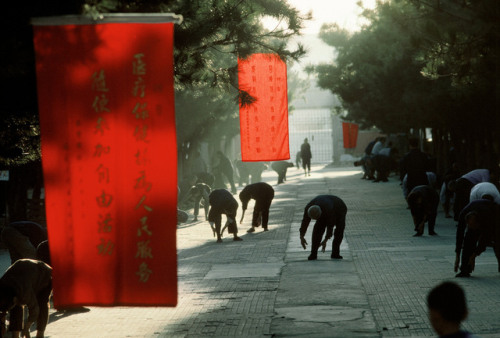 dolm: China. Beijing. 1984. Tai chi exercises at Ritan Park. Thomas Hoepker.