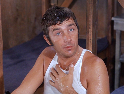 #hogan's-heroes on Tumblr
