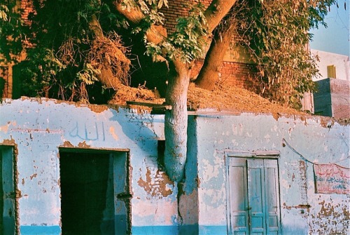 divaneee:  Egypt, 1989 by Vincenzo Tosini 