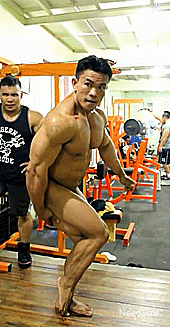 needsize:    Joseph Ferandez  