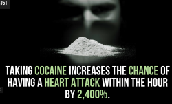 amroyounes:  Random facts for the day.