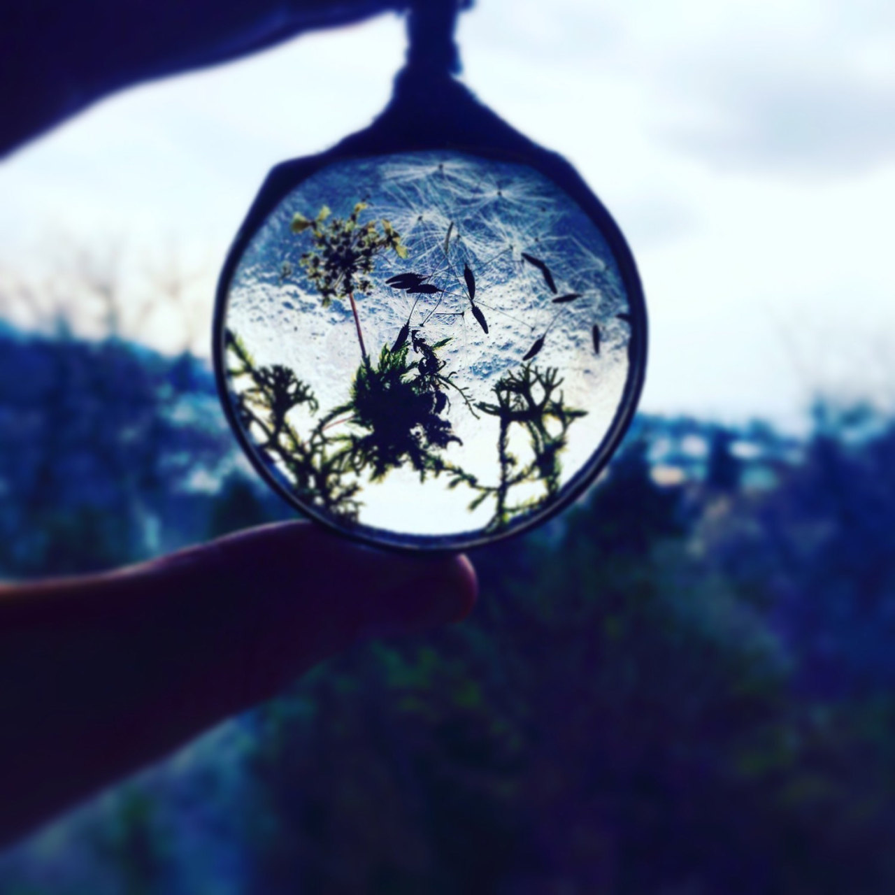 culturenlifestyle:	Ethereal Terrarium Jewelry Polish boutique Mariaela creates handmade