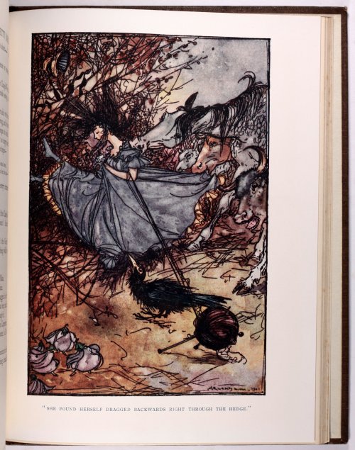 michaelmoonsbookshop:The Book of Betty Barber - First Edition 1910illustrated by Arthur Rackham - th