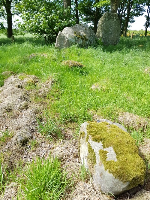 Berrybrae Recumbent Stone Circle, nr Fraserburgh,Scotland, 29.5.18. A beautifully located circle tha