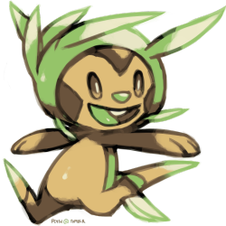 pc4sh:  CHESPIN, the grass starter from Pokémon
