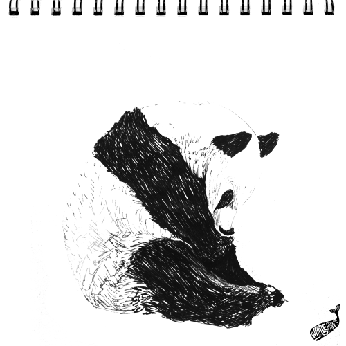 46. Monday’s coming&hellip;Sad Panda