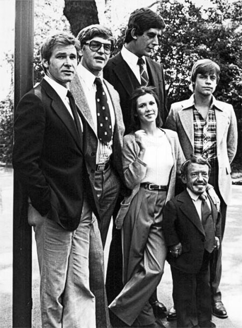 The cast of the original Star Wars Trilogy.