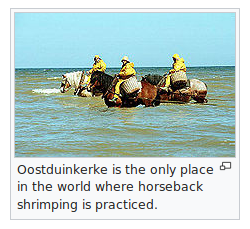 existentialterror:
“fellas I’m knee-deep in a wikipedia hole (not unlike these horses), and I just
”