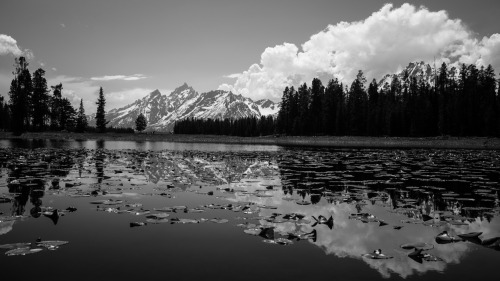 Grand Teton