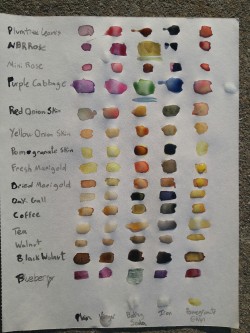 sialiasnest:  sialiasnest:  sialiasnest:Some of these colors will change as they age. Here’s how they look when fresh.And a year or two later … The natural ink colors have shifted a lot, but still interesting.The grid shows the plant down the left,