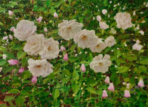 Climbing Roses   -    David Hettinger American, b.1946-Oil on canvas,16 x 22 cm.