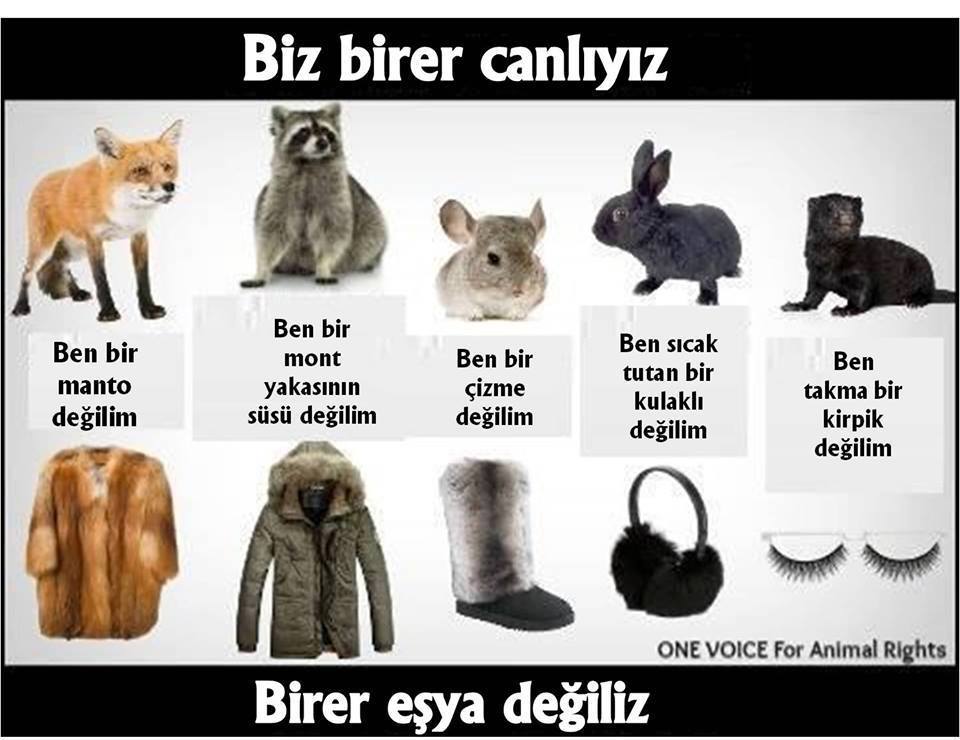 Bi Parça Gökyüzü
