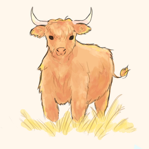 higgity-heck:*hands you a cow* *hands you a cow* *hands y