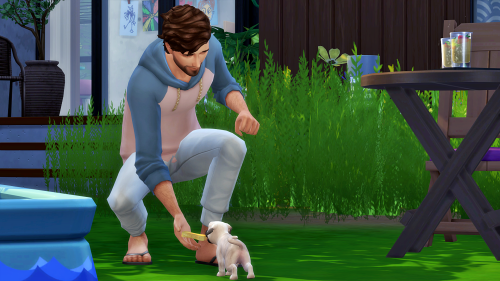 either way, he enjoyed playing with the little pup a lot whenever he came over to see heather and he