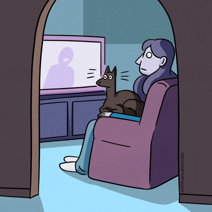 catsbeaversandducks:  9 Things No One Tells You About Having A Cat1. Their teeth fall out.2. Their whiskers also fall out.3. They can see ghosts.4. The 5 second rule won’t work in your house anymore.5. They make strange hunting noises.6. Black cats