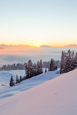 expressions-of-nature:  Sunset in the Alps,