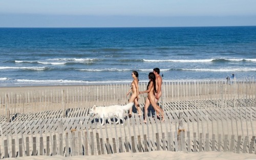 blindcreek-beach-florida:Walking to the nude beach – in the nude – in France.
