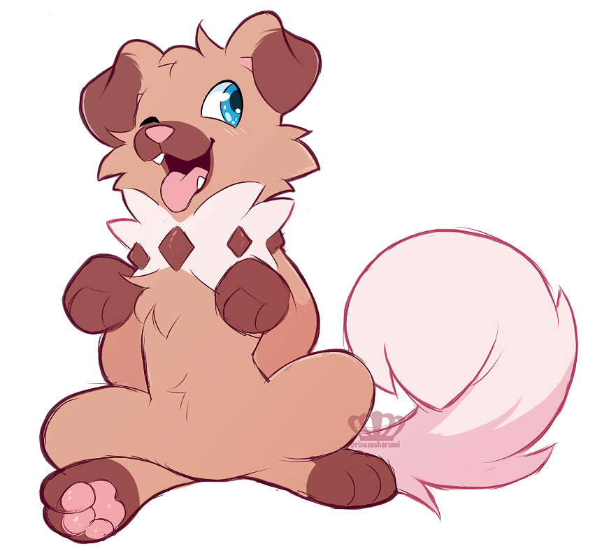 princessharumi:  what a good puppy !! 