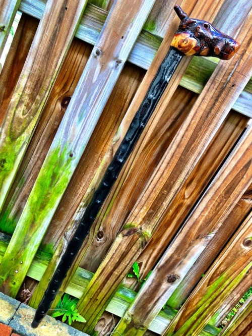 Irish blackthorn shillelaghs. The term shillelagh (thonged stick) has a very murky past. It’s 
