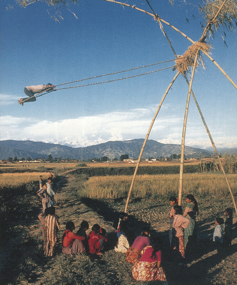 20aliens:  Simon Velez and Bamboo Architecture
