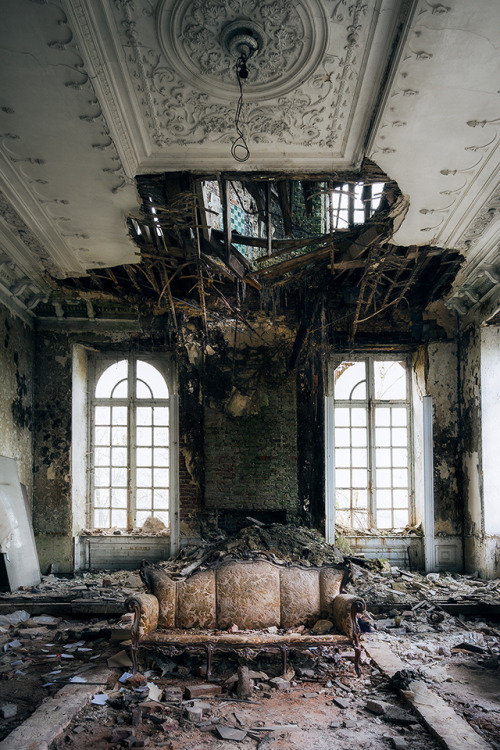 beauty in decay