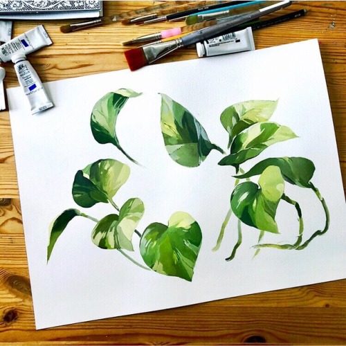 nataliapaints: I’ve gotten really into houseplants in the last few months. Having them around 