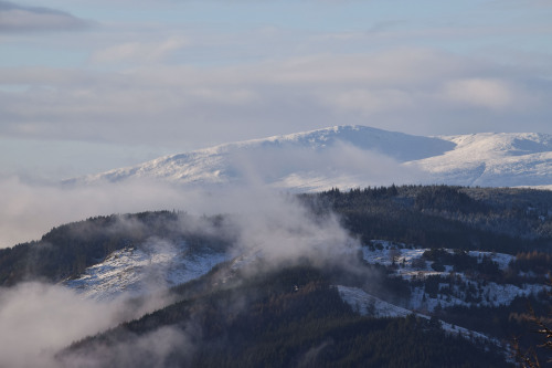 Craigower, PitlochryWhen we woke up and saw that there was some fresh snow outside, we immediately p