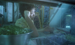 film-cult:  Chungking Express (1994) dir.