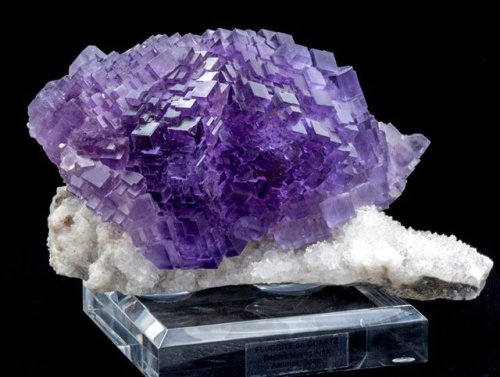 geologyin-blog:Stepped Berbes Fluorite crystals on Quartz from Berbes Mining Area, Asturias, SpainPh