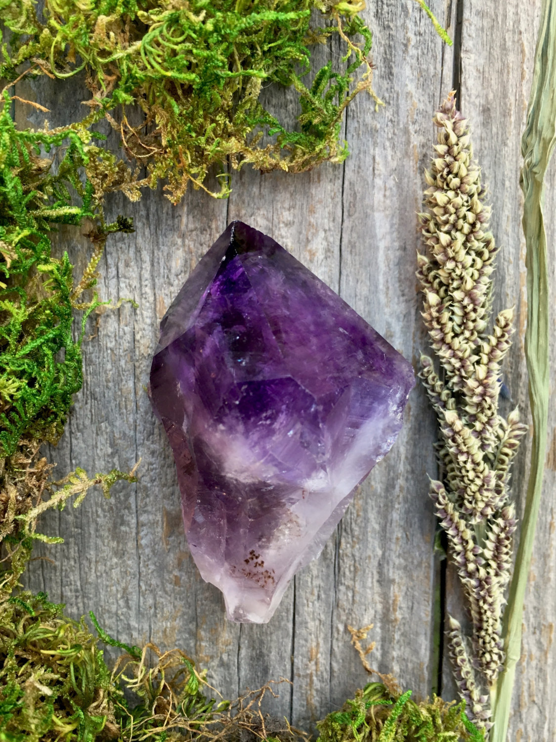 ifuckingloveminerals:  Amethyst  Minas Gerais, Brazil    @cita-spectre
