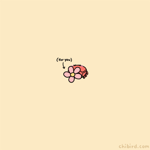 chibird:A skittering crab has a small gift for you!Chibird store | Positive pin club | Webtoon 