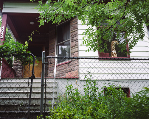 portland porches