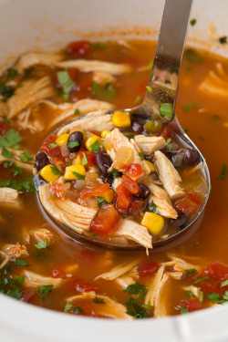 do-not-touch-my-food:  Chicken Tortilla Soup