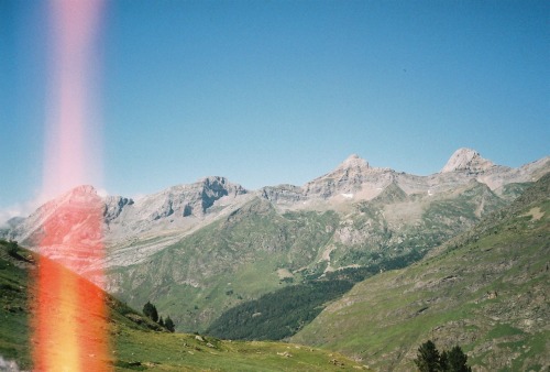 Place and date: Pyrenees, in France (summer 2013). Camera: Yashica rangefinder 35 ME. Film: Fuji Sup