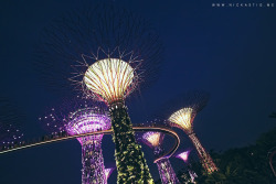 nickastig:  Gardens by the bay, Singapore