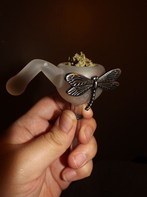 cummabis:  new bowl with an added touch of a dragonfly by me.