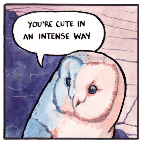 dullahandame:falseknees:Chouette [ID: a comic showing two barn owls, done in a watercolour style, a 